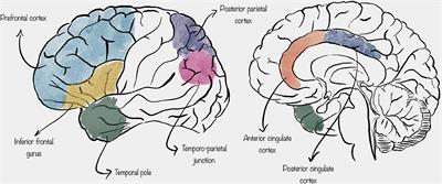 Where We Mentalize: Main Cortical Areas Involved in Mentalization